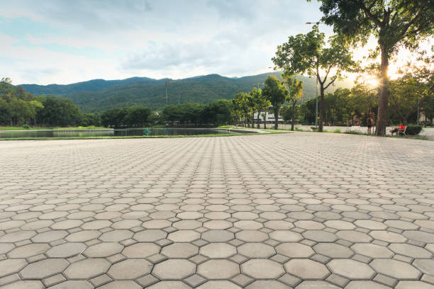 Best Permeable Paver Driveway  in Elkins, AR